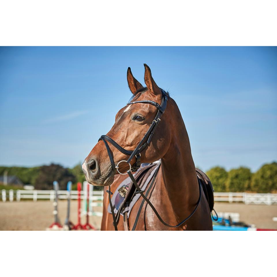 CATAGO SIENNA Springtrense. Sort