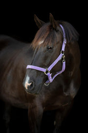 HORSEGUARD MALVA Grime. Lavender. "Pretty Girl"
