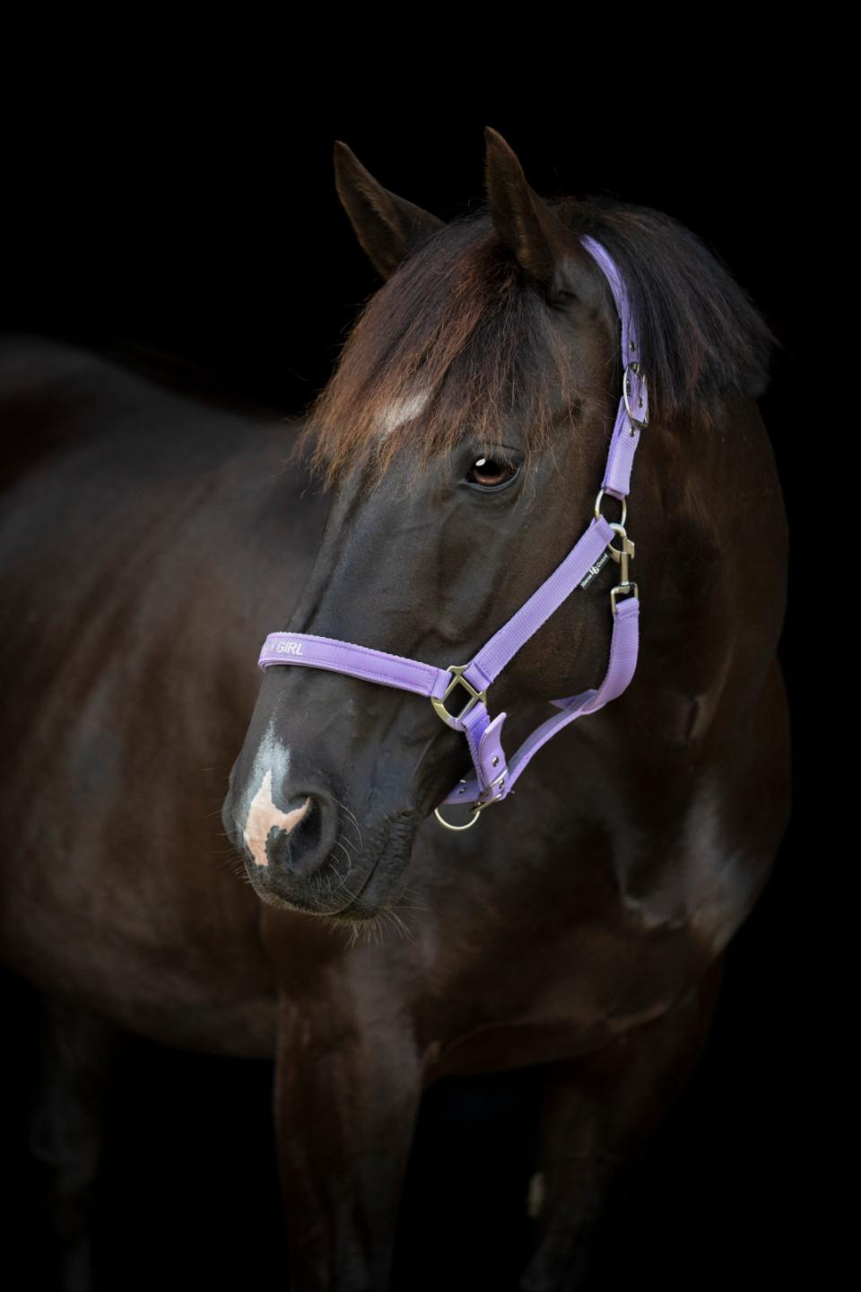 HORSEGUARD MALVA Grime. Lavender. "Pretty Girl"