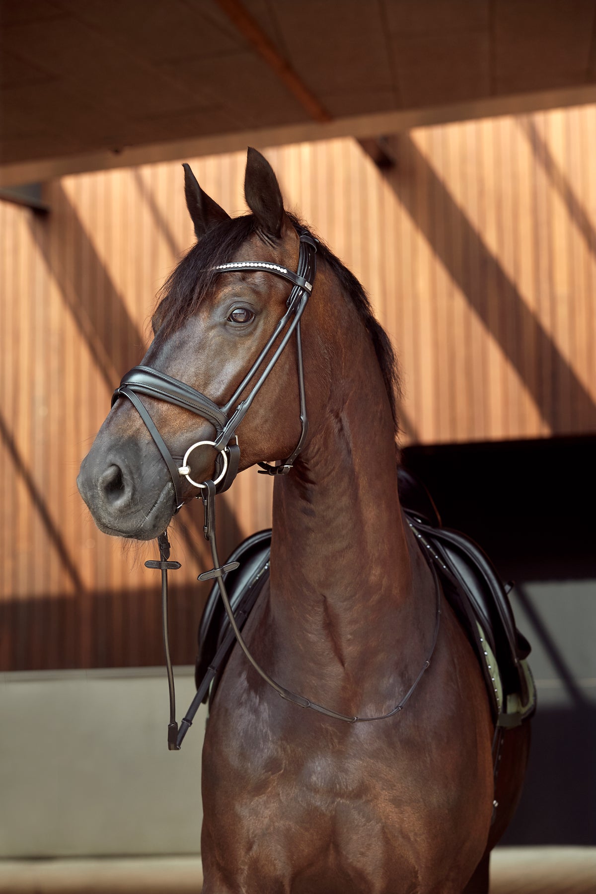 HORSEGUARD AVA Rundsyet trense. Sort