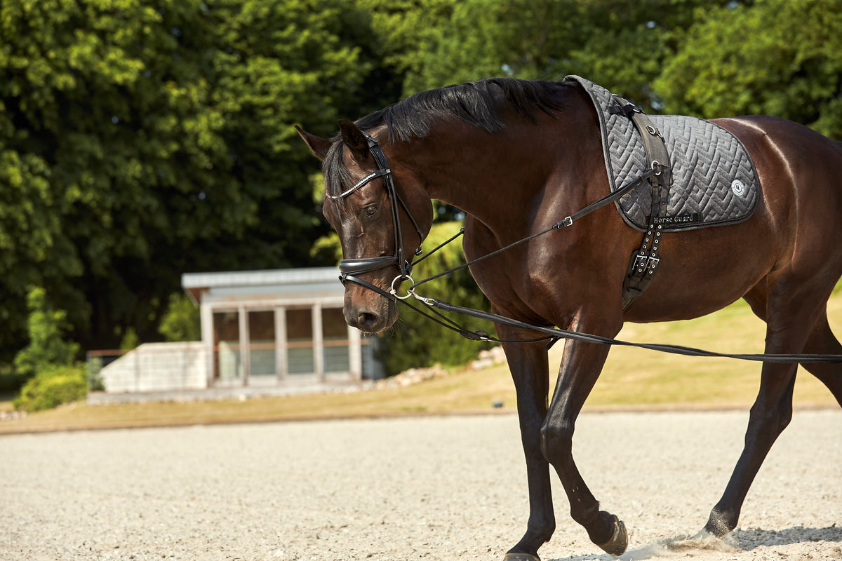 HORSEGUARD AVA Rundsyet trense. Sort