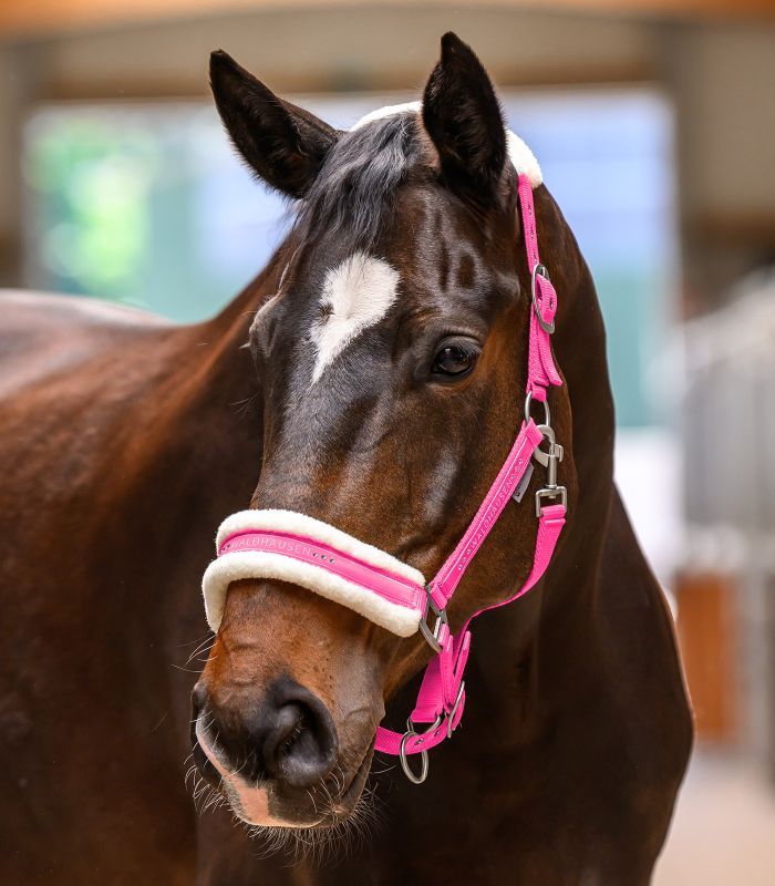 WALDHAUSEN ELEGANT Grime med plys. Pink