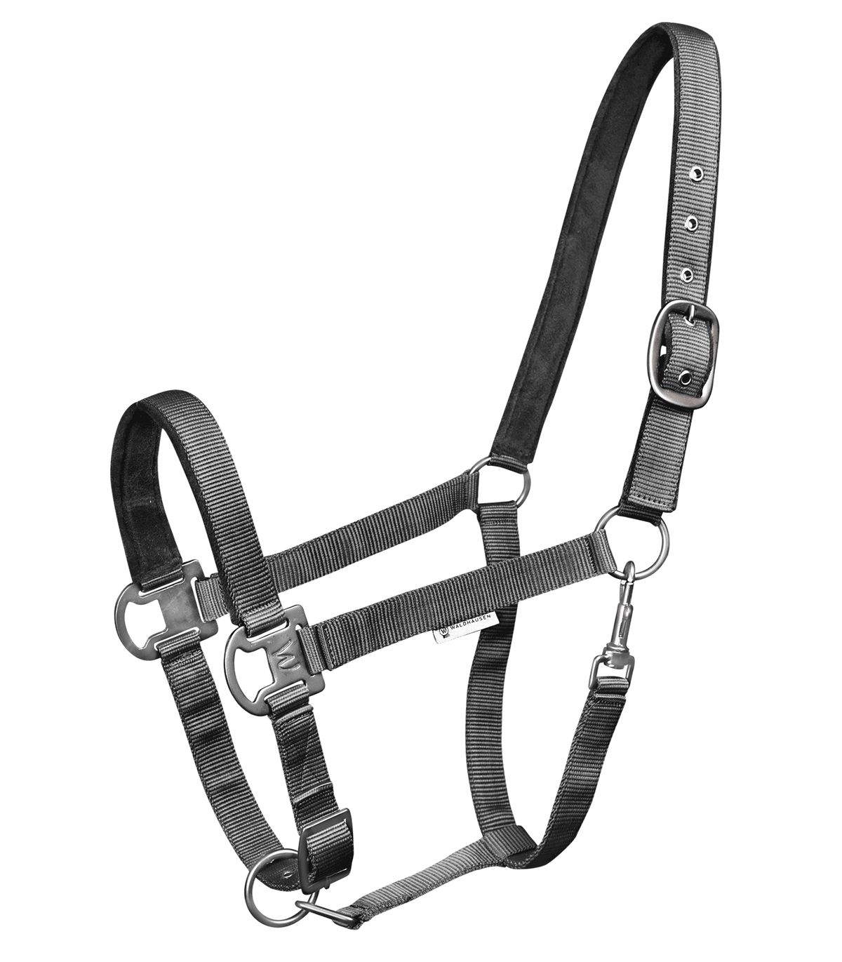 WALDHAUSEN Elegant grime