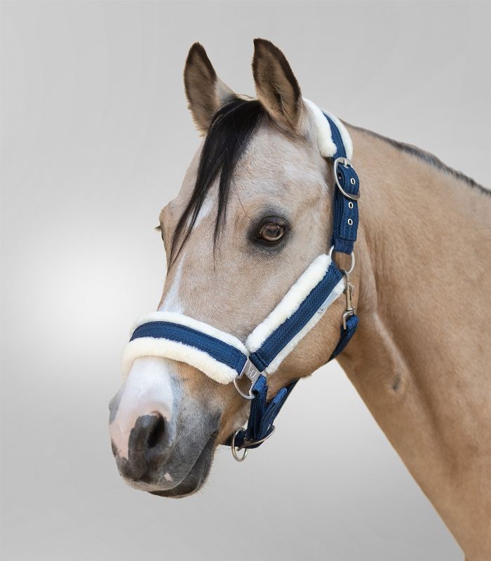WALDHAUSEN SPARKLE Grime. Blå