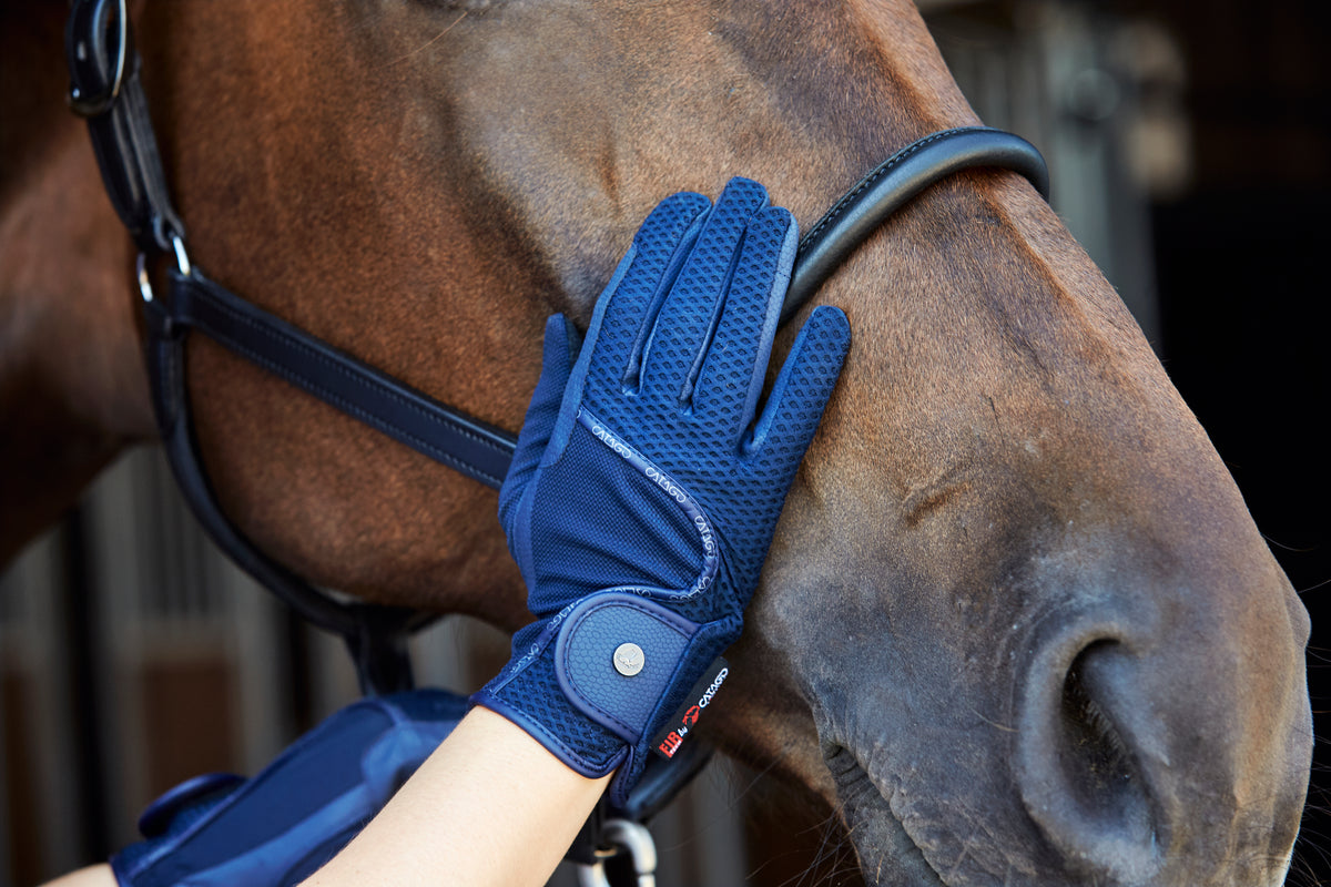CATAGO FIR-TECH Mesh handsker. Navy