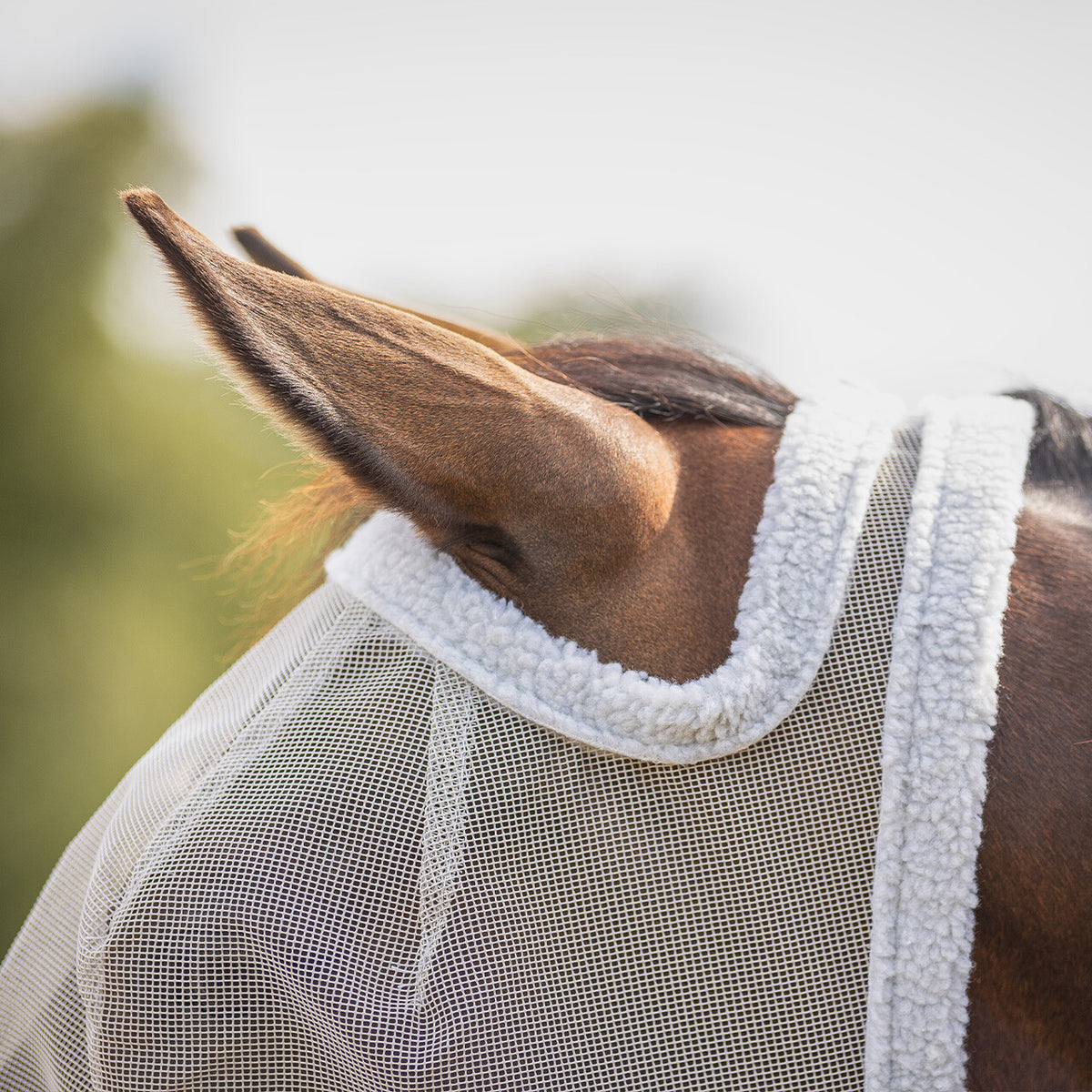 QHP ESSENTIALS Fluemaske uden ører
