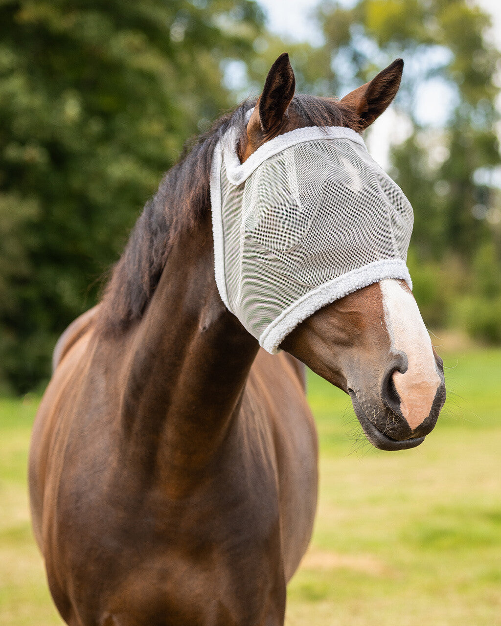 QHP ESSENTIALS Fluemaske uden ører