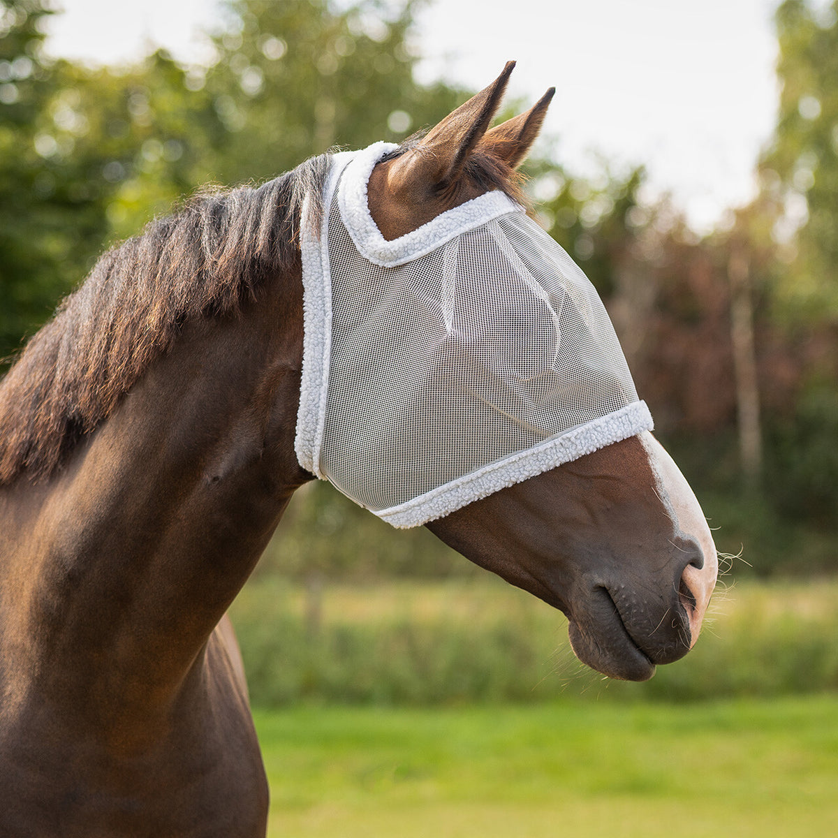 QHP ESSENTIALS Fluemaske uden ører