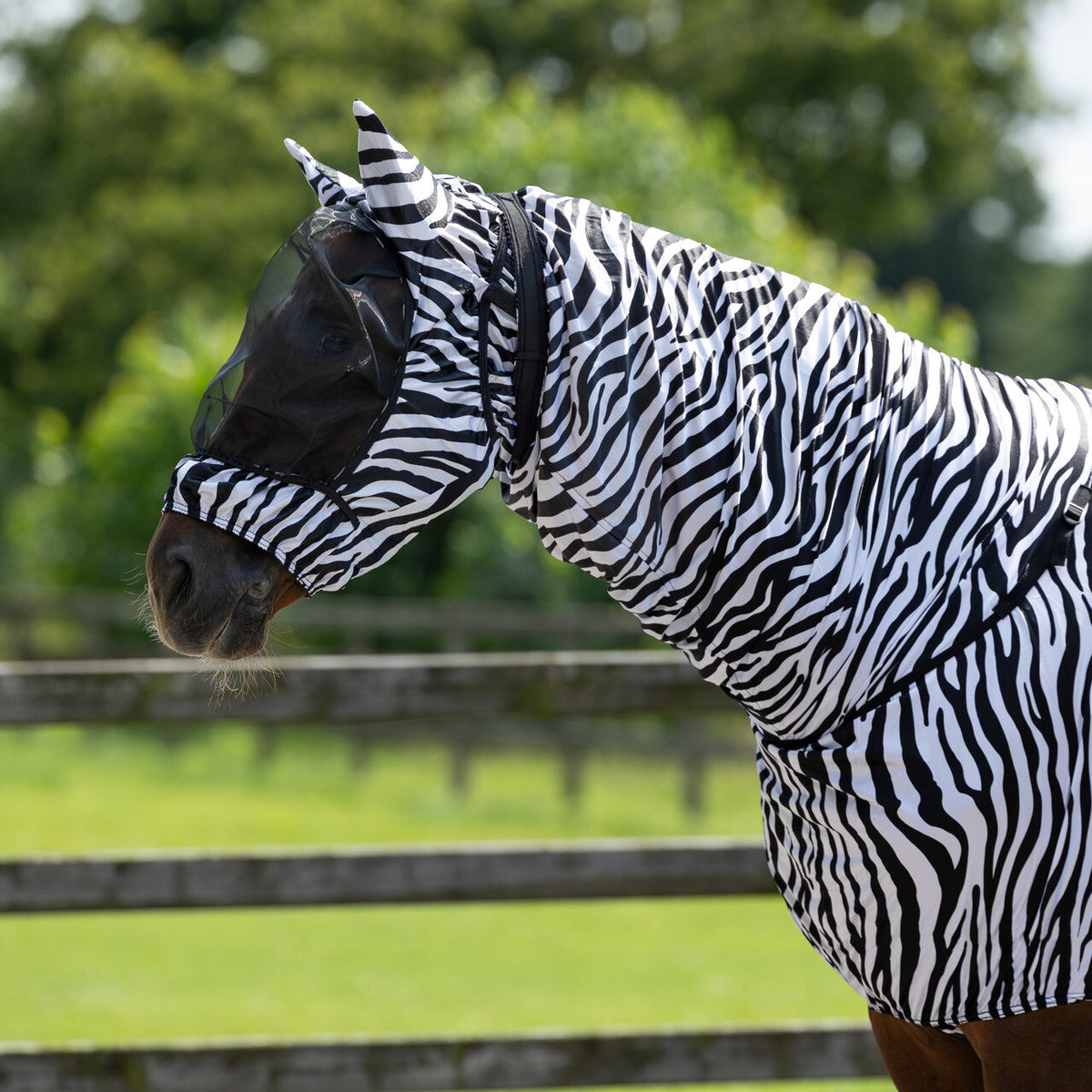 QHP ESSENTIAL Eksemmaske med ører. Zebra