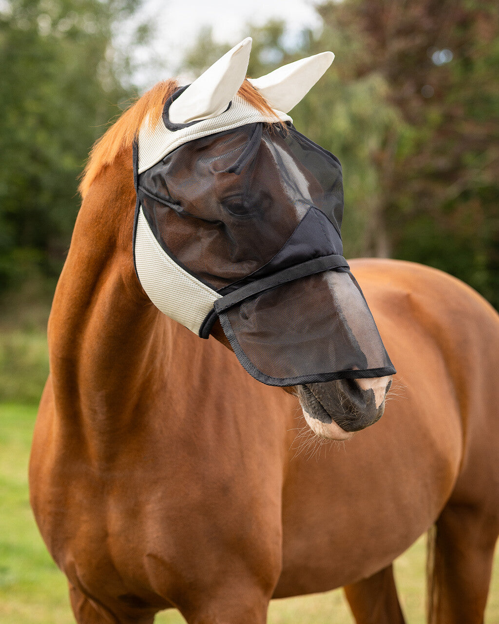 QHP Insektmaske med aftageligt mulenet. Beige