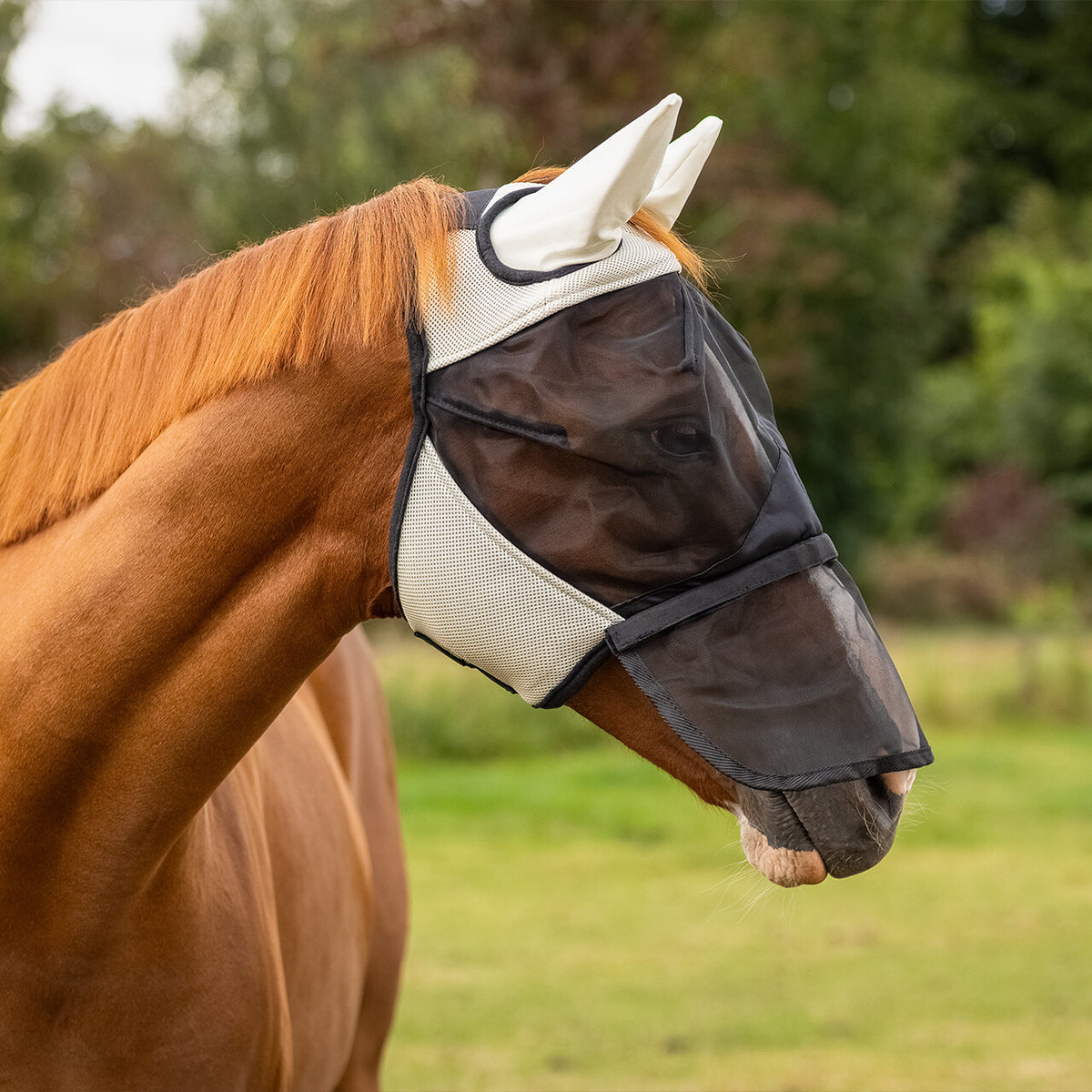 QHP Insektmaske med aftageligt mulenet. Beige