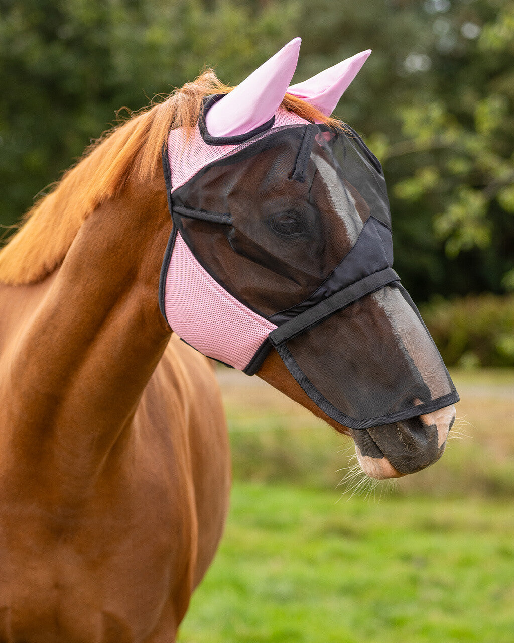 QHP Insektmaske med aftageligt mulenet. Pink