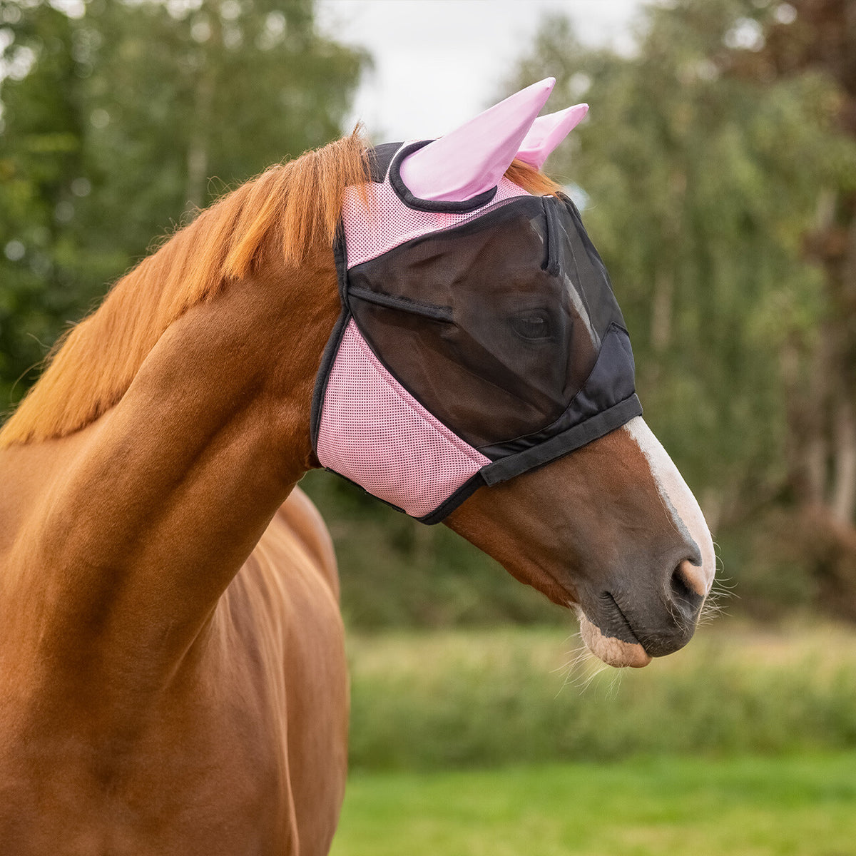 QHP Insektmaske med aftageligt mulenet. Pink