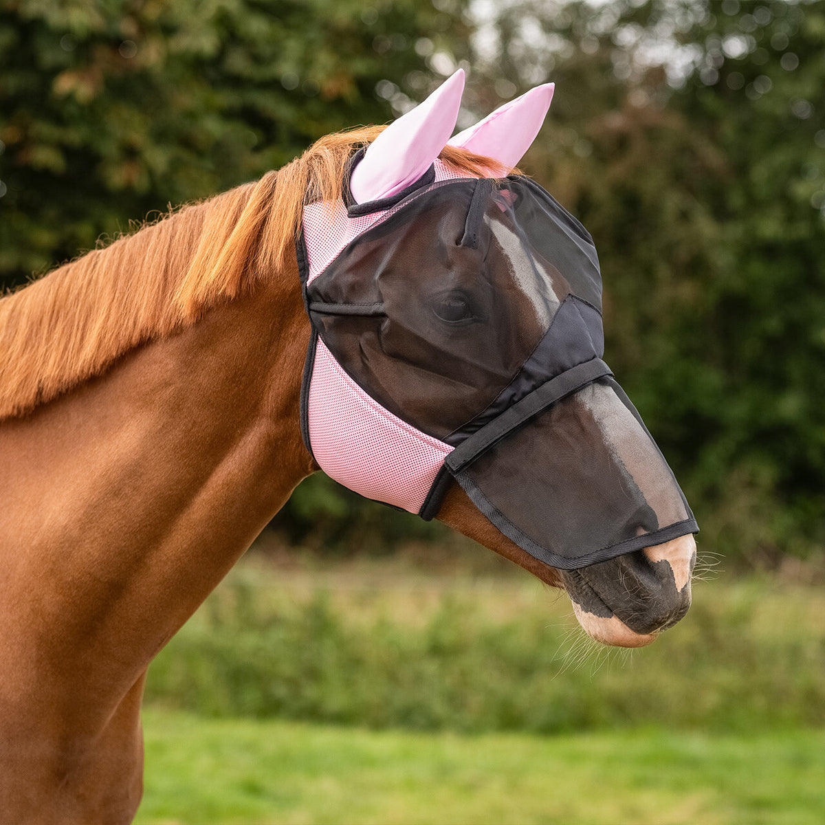 QHP Insektmaske med aftageligt mulenet. Pink