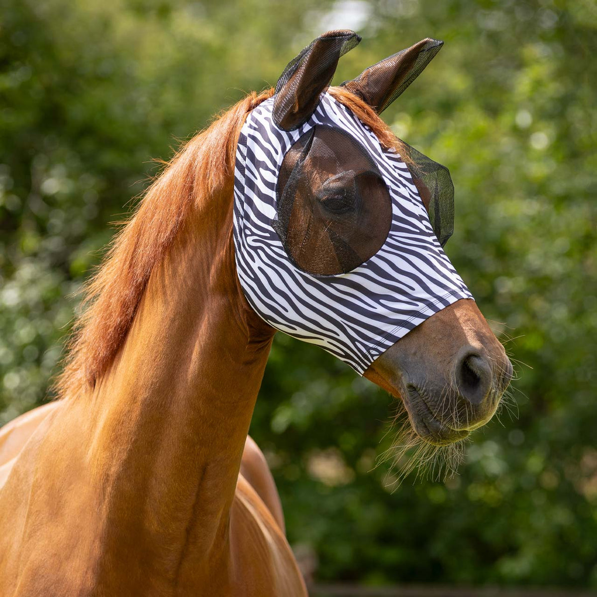 QHP SUPER BUG Insektmaske. Zebra