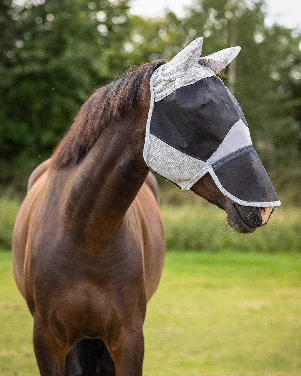 QHP SOLAIRE Insektmaske
