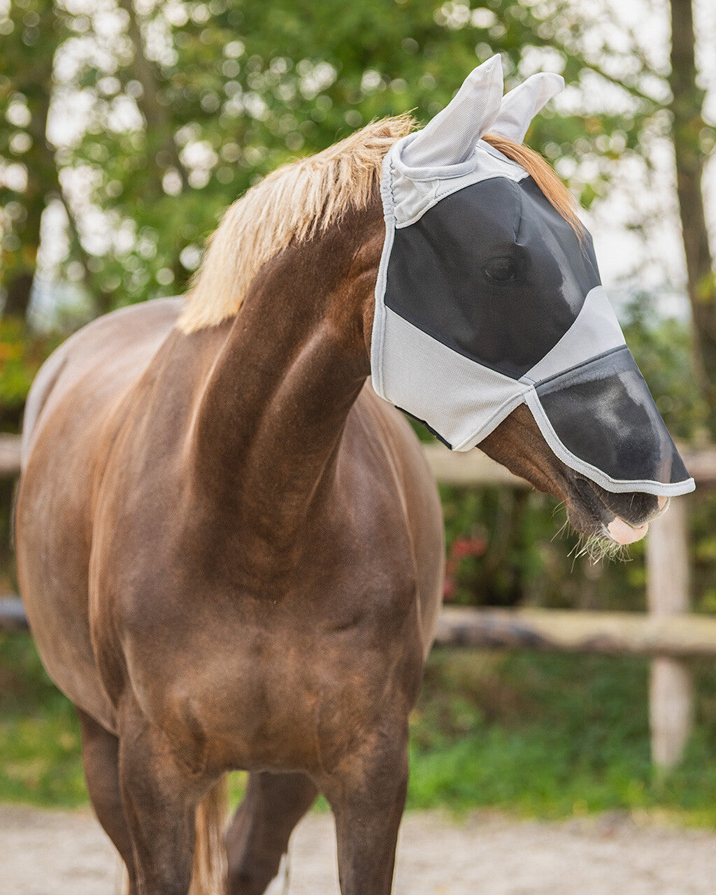 QHP SOLAIRE Insektmaske