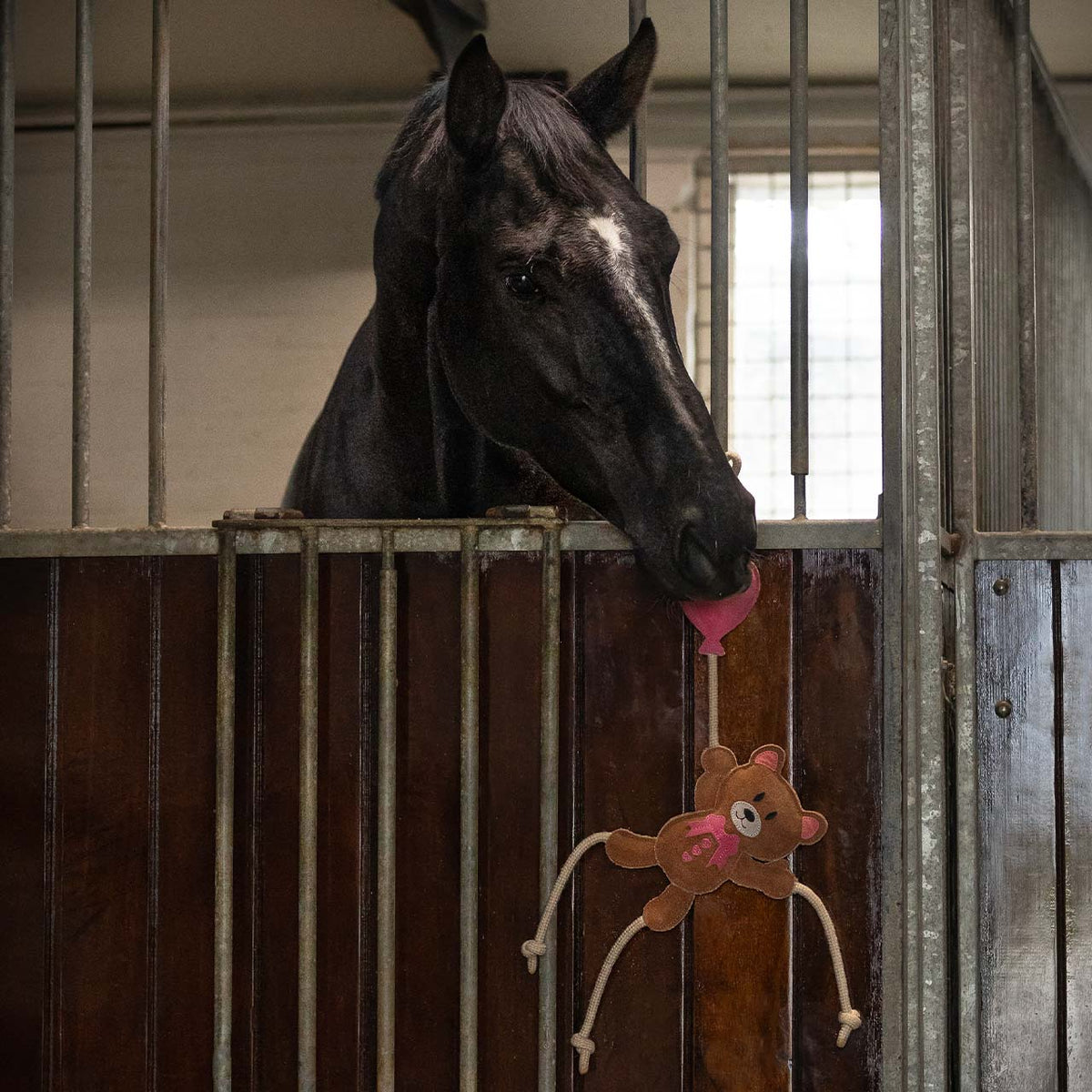 QHP Bokslegetøj. Valentine bjørn