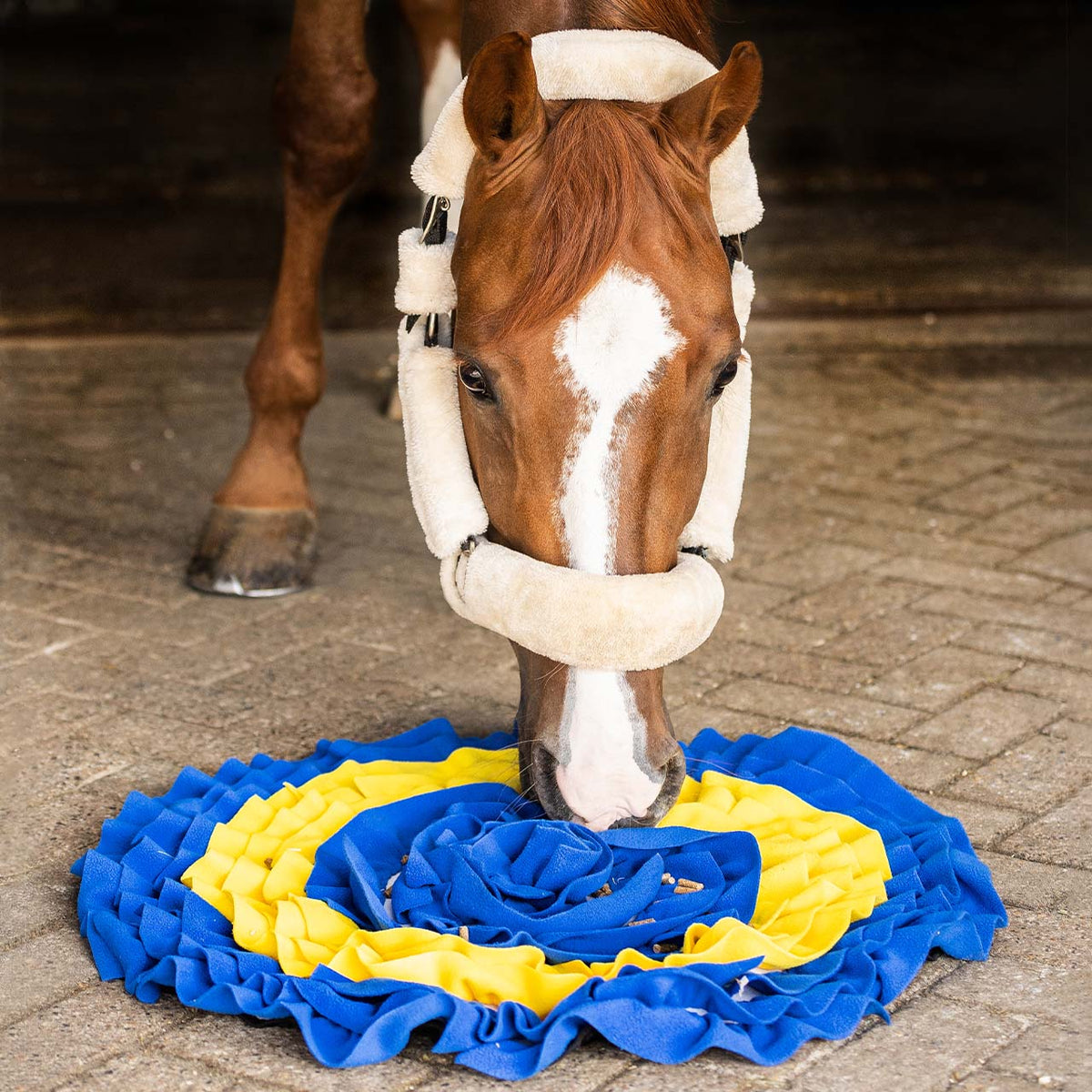 QHP Snusemåtte. Til hest eller hund