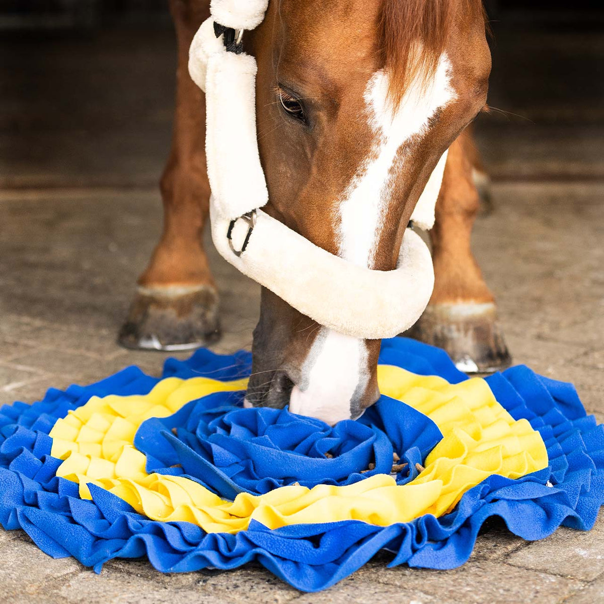 QHP Snusemåtte. Til hest eller hund