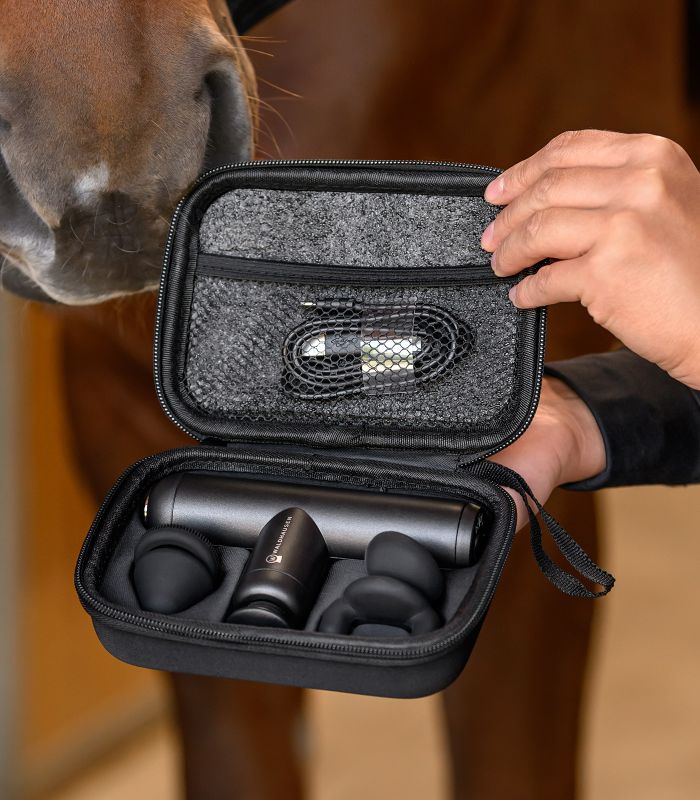WALDHAUSEN Health + Care PocketRelax Massagepistol