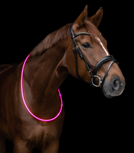 WALDHAUSEN LED Halsring til hest eller hund