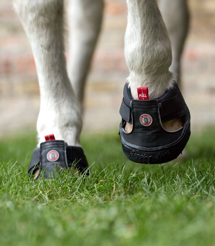 EQUINE FUSION TREKKING SHOE. Boots til heste