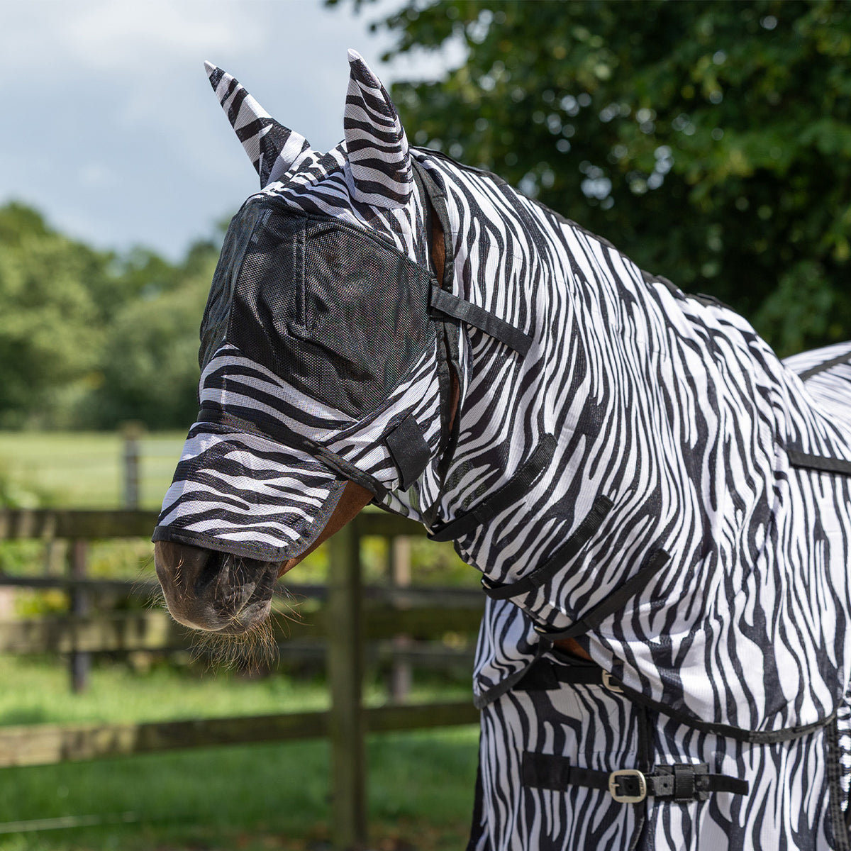 QHP Insektdækken med hals og maske. Zebra