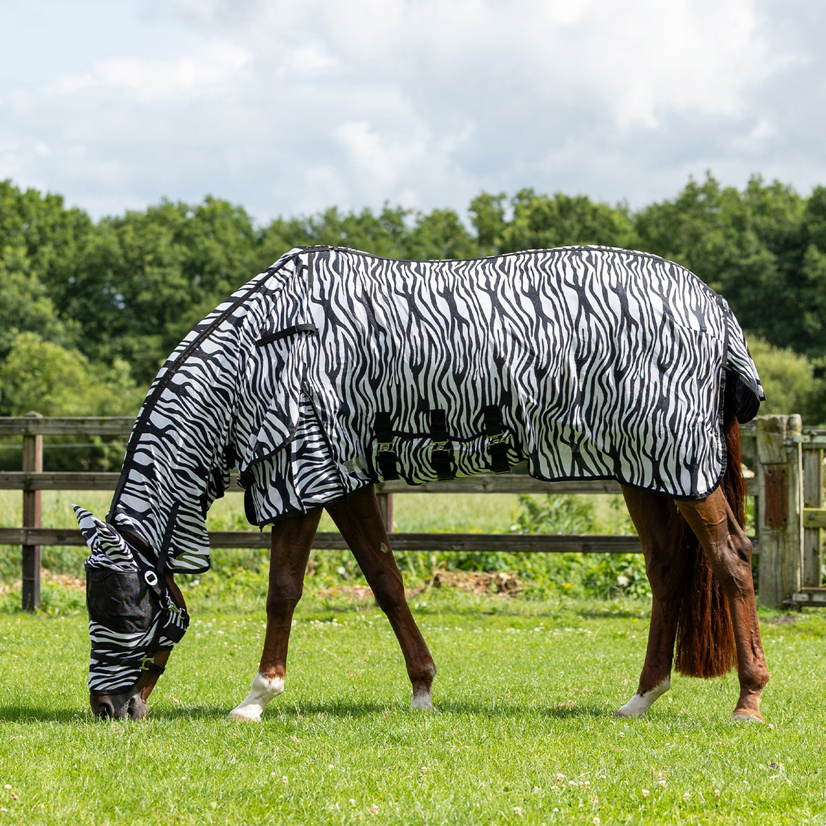 QHP Insektdækken med hals og maske. Zebra