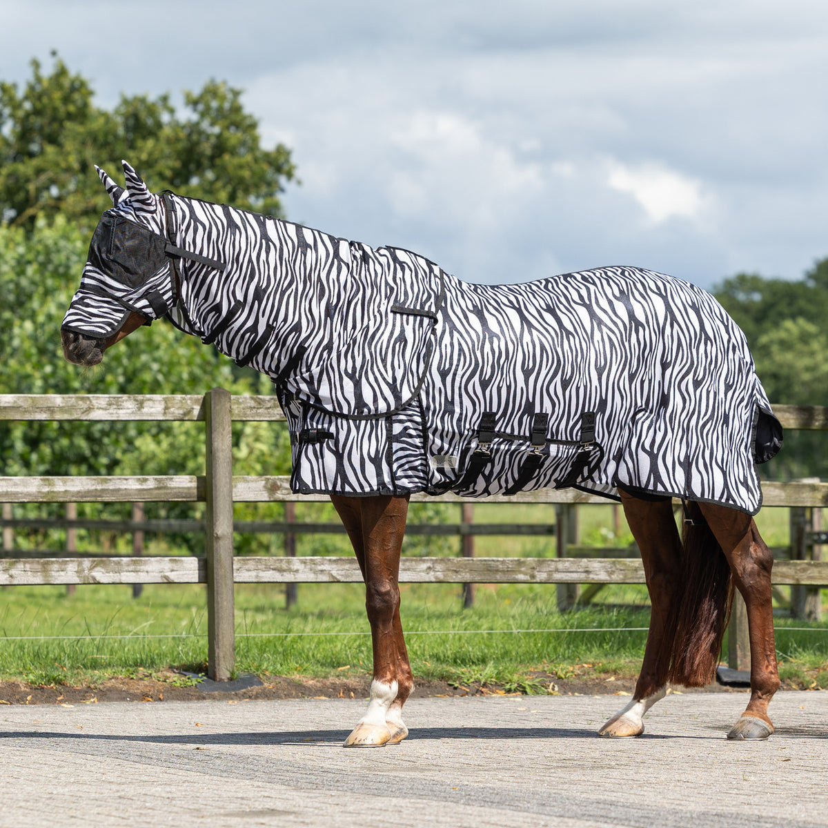 QHP Insektdækken med hals og maske. Zebra