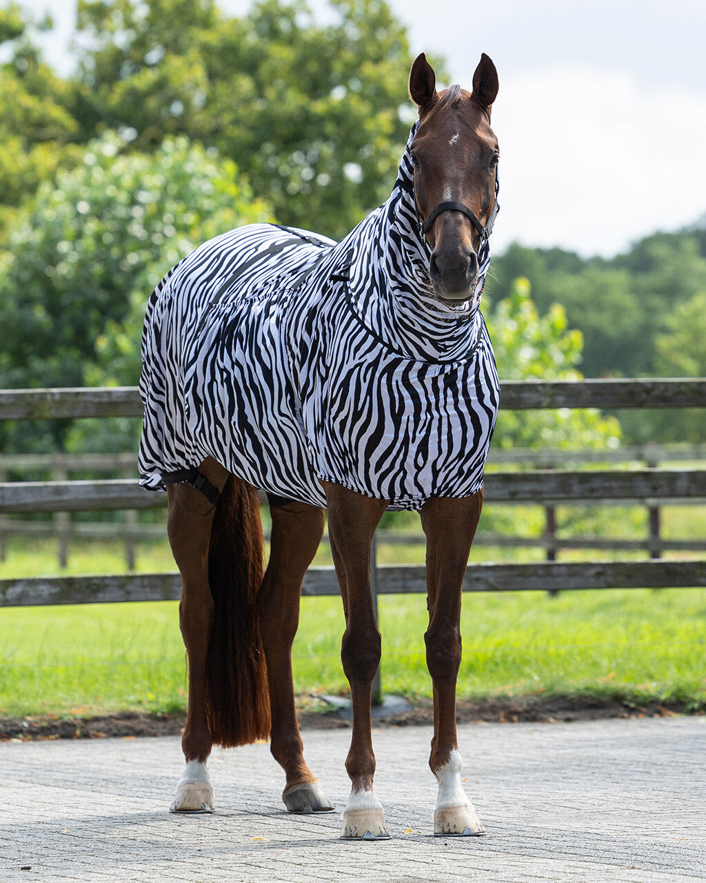 QHP ESSENTIAL Eksemdækken med hals. Zebra