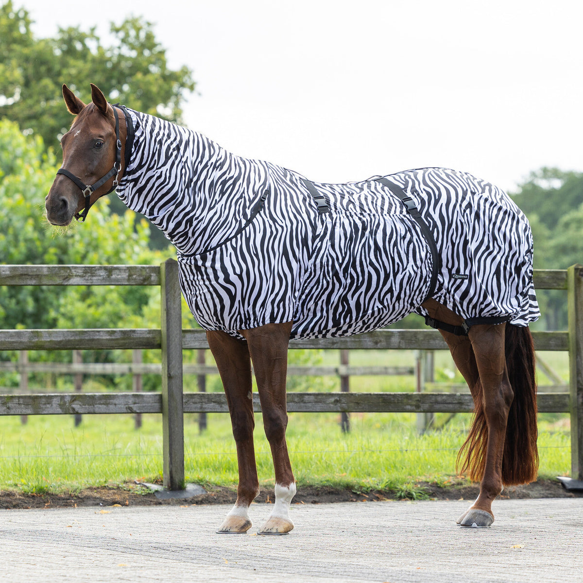 QHP ESSENTIAL Eksemdækken med hals. Zebra
