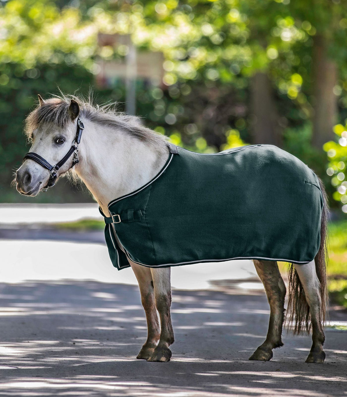 WALDHAUSEN ECONOMIC Fleece dækken