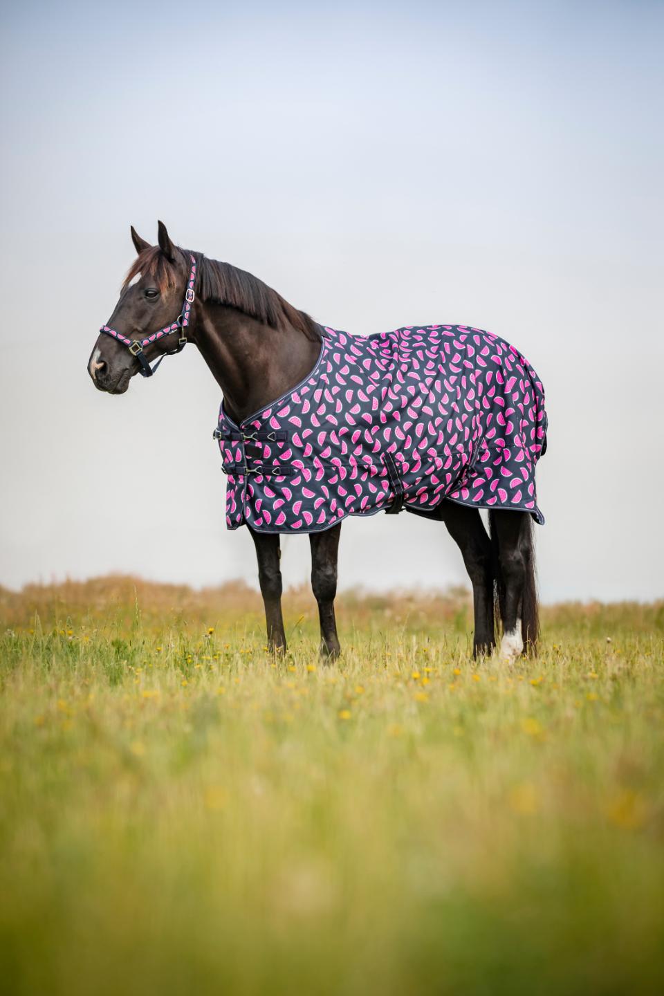 HORSEGUARD MELON Grime