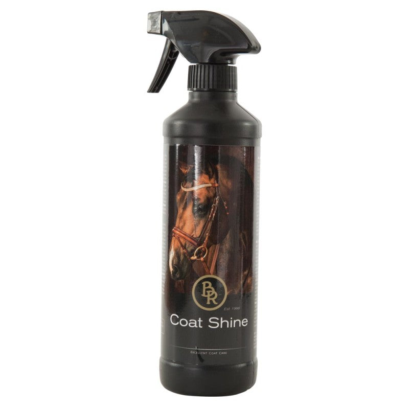 BR Showshine. 500mL spray