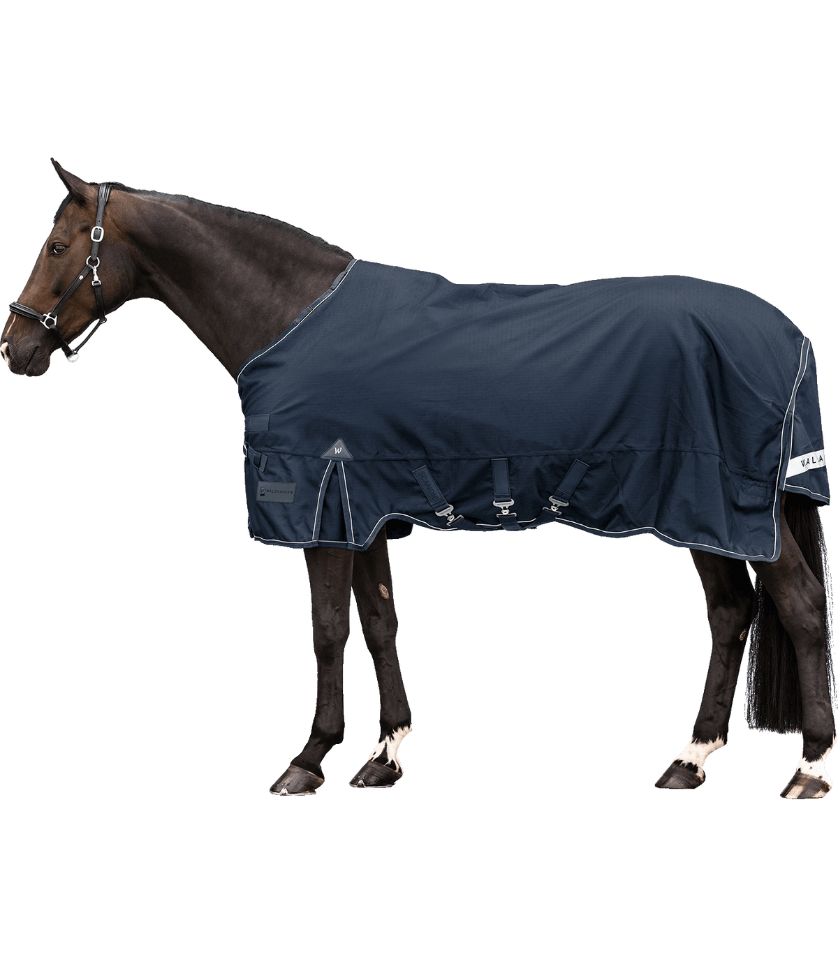 WALDHAUSEN SCANDIC Multi-layer udedækken. 250g/100g. Navy