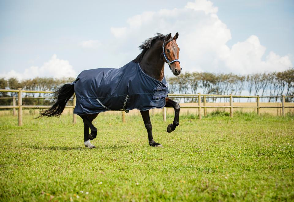 HORSEGUARD LANDON 1200D. 0g regndækken. Navy