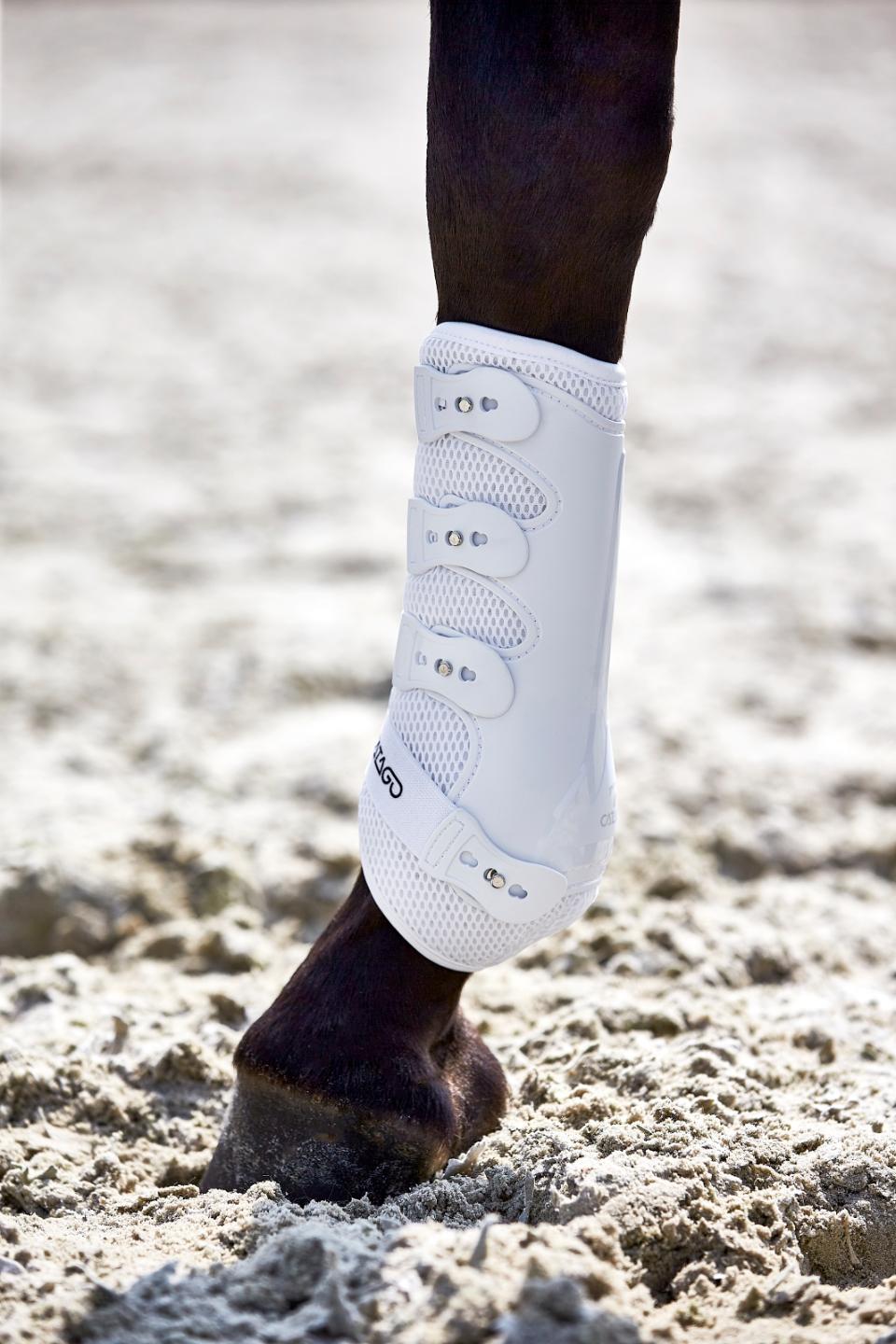 CATAGO FIR-Tech Dressurgamache.