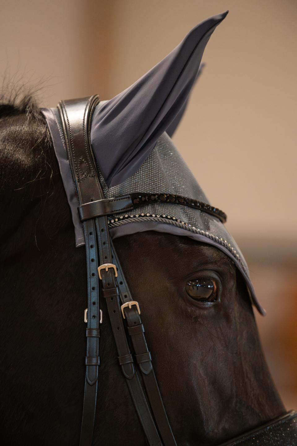 HORSEGUARD MILVA Hut. Asfaltgrå
