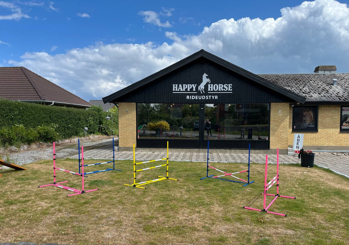 Hold din børnefødselsdag hos Happy Horse
