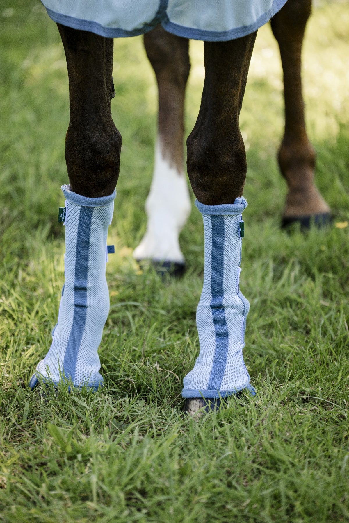 HORSEWARE Insektgamacher. Blå/sølv