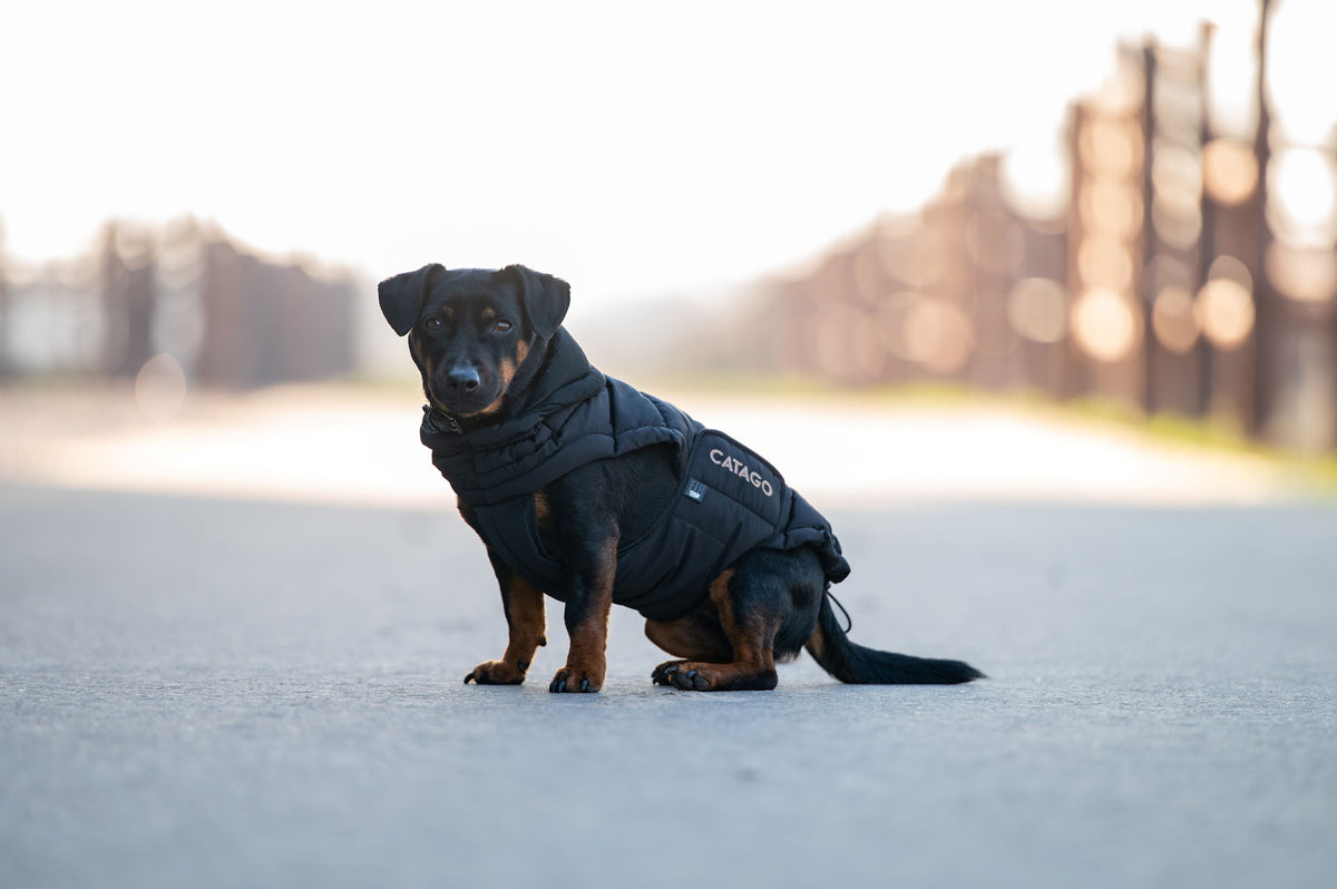 CATAGO FIR-Tech puffer hundedækken. Sort