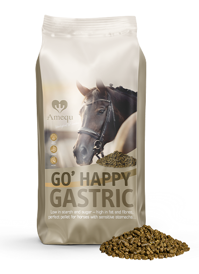 AMEQU GO Happy Gastric. 15kg