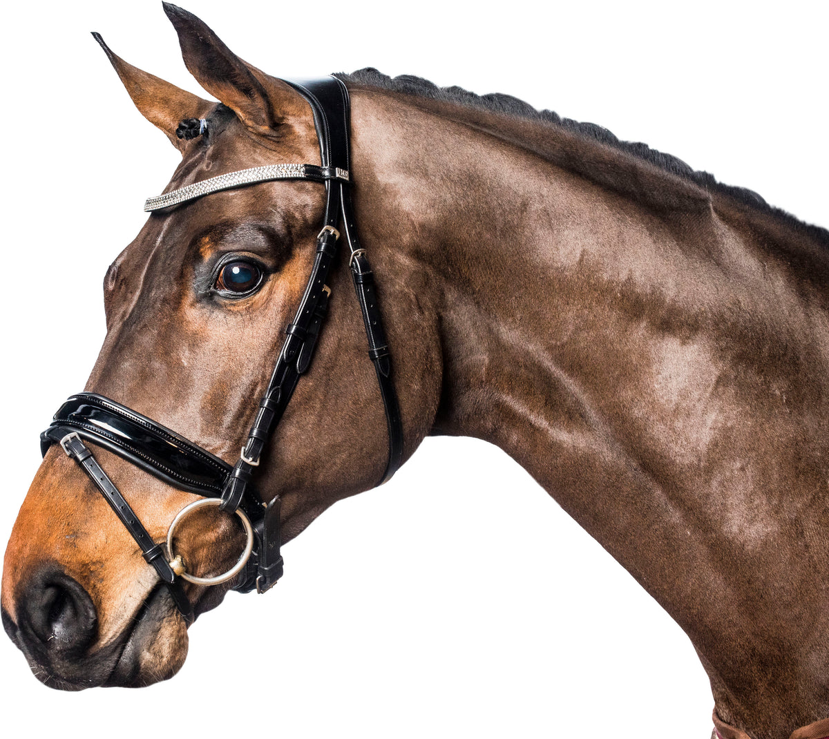 HORSEGUARD ERGO Trense med tilbagetræk