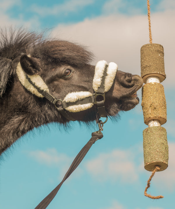 HERBI HORSE Snack på snor. Recover