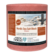 NORDIC HORSE Sea salt block, immun