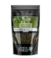 NORDIC HORSE Jiaogulan. 300 g