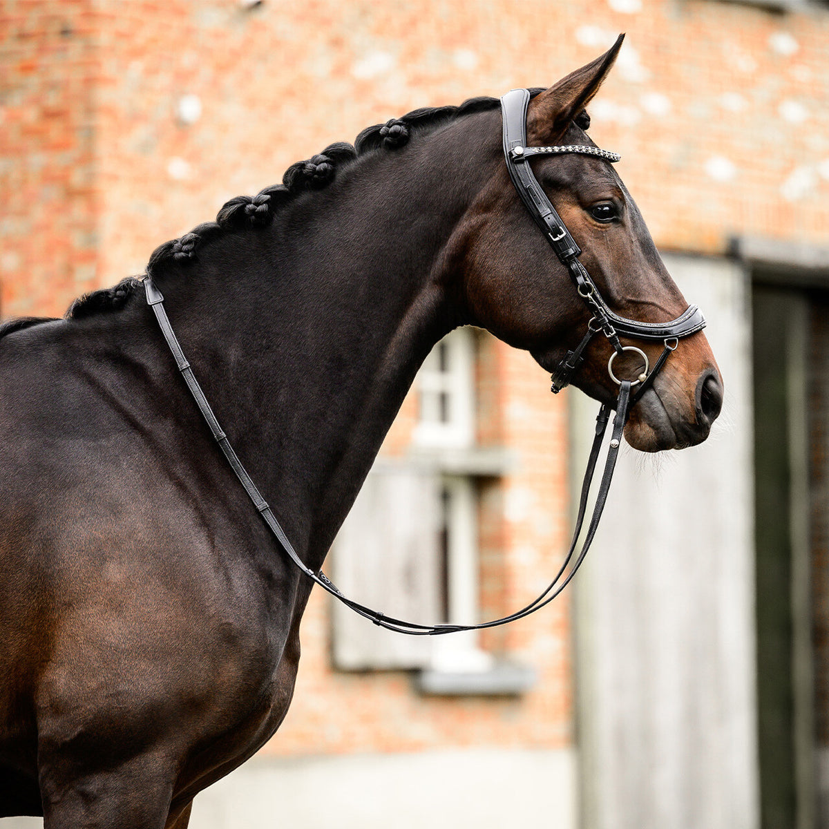PRESTEQ FAYSPORT Glitter Anatomisk trense