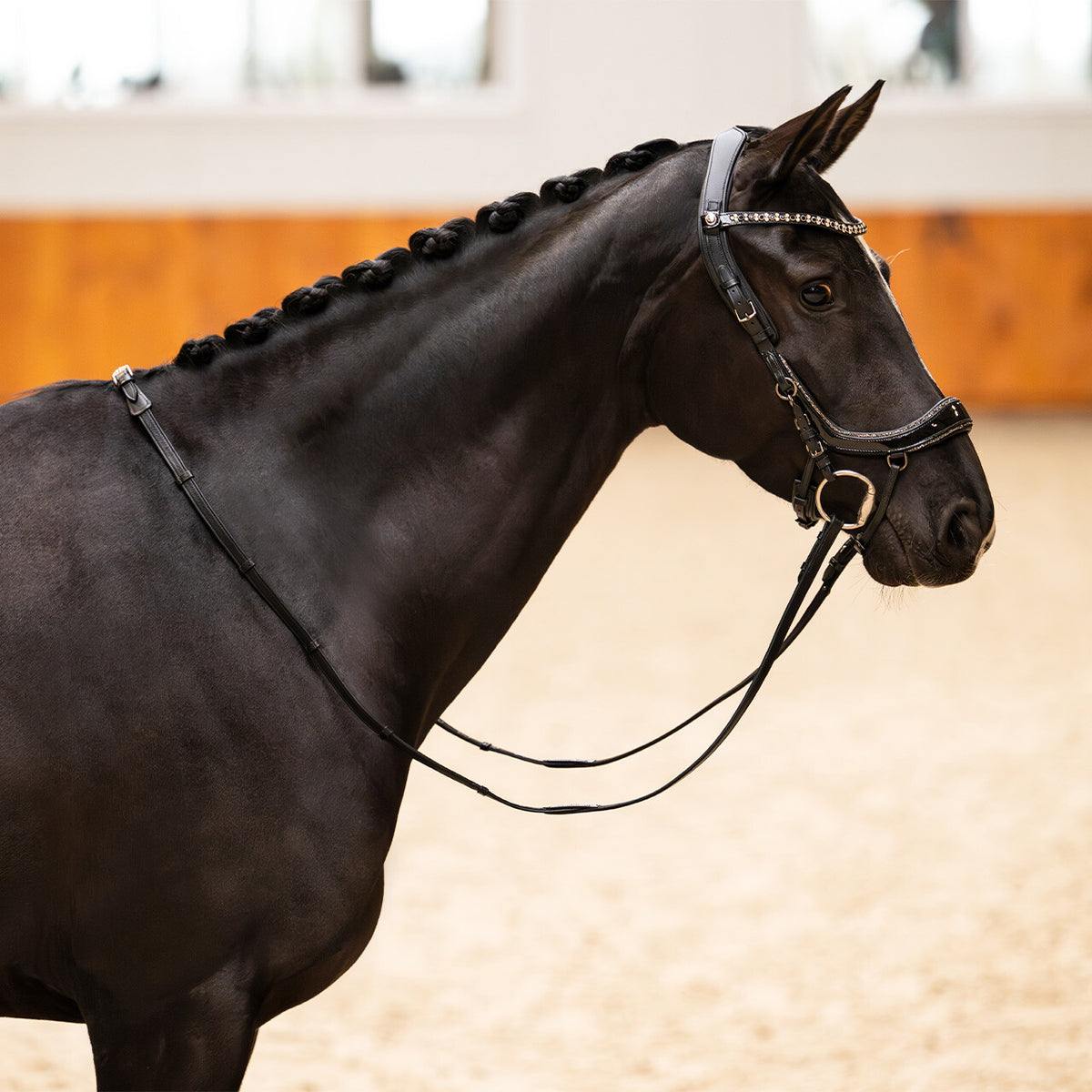 PRESTEQ FAYSPORT Glitter Anatomisk trense