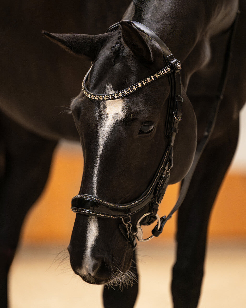 PRESTEQ FAYSPORT Glitter Anatomisk trense